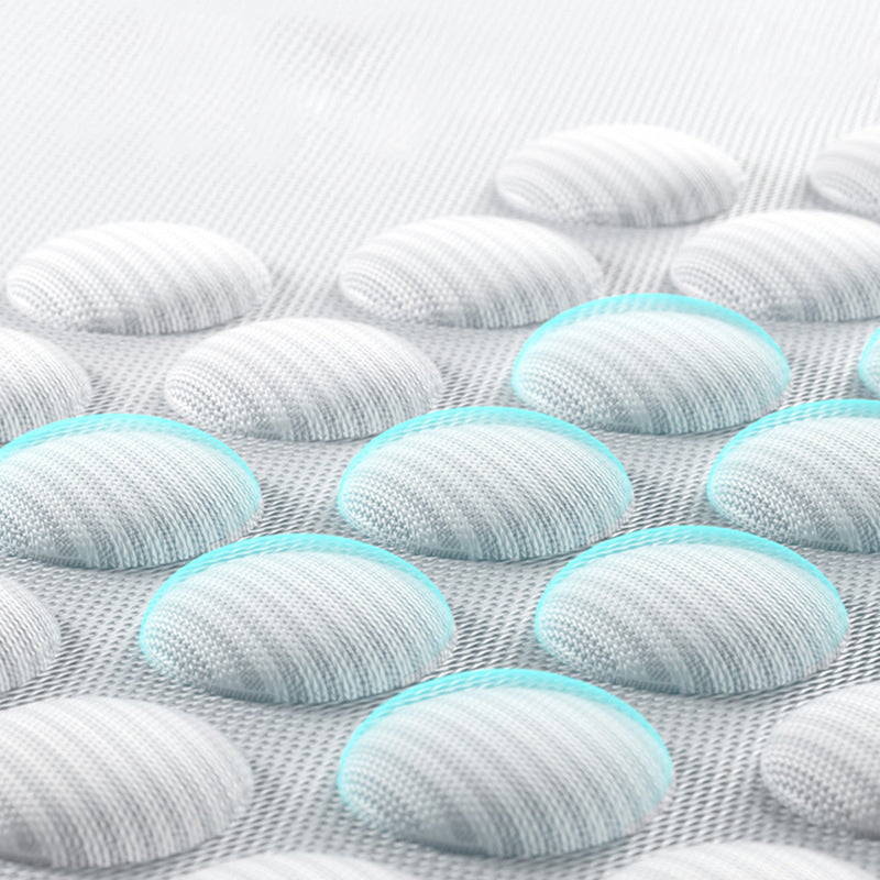 Cama para Mascotas Lavable y Desmontable - Válida para Todas las Estaciones